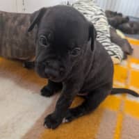 Photo of Zeus