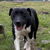 Photo of Thelma