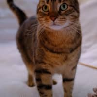 Photo of Luna