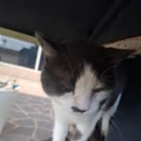 Photo of Hercules