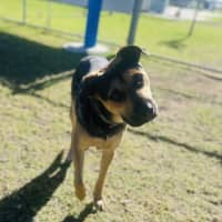Photo of Thor