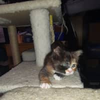 Photo of Purty&Precious