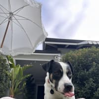 Photo of Thea