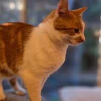 Photo of Cash