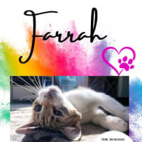 Photo of Farrah