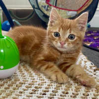 Photo of Harry