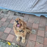 Photo of Walter