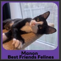 Photo of Manon