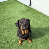 Photo of Maggie May