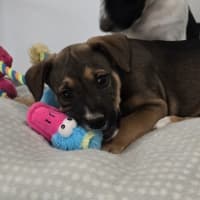 Photo of Marceline The Vampire Queen