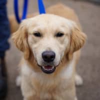 Photo of Arlo