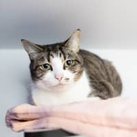 Photo of Lucy