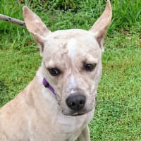 Photo of Maggie