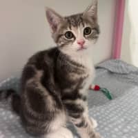 Photo of Charlotte   In Foster Care In Doreen