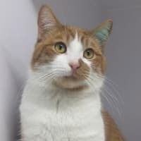 Photo of Pleackley