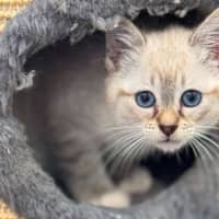 Photo of Wilbur 