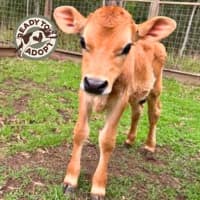 Photo of Bowen & Albert