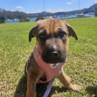 Photo of Jelly