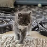 Photo of Roxy