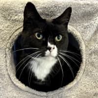 Photo of Mildred