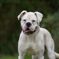 Photo of Beny