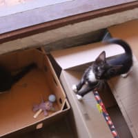 Photo of 💗 Peggy 💗