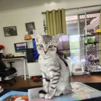 Photo of Jasper