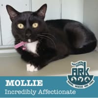 Photo of Mollie