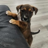 Photo of Marceline The Vampire Queen