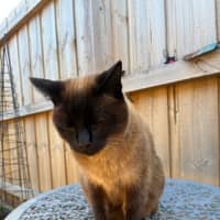 Photo of Coco