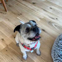 Photo of Molly Wensleydale