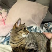 Photo of Genki