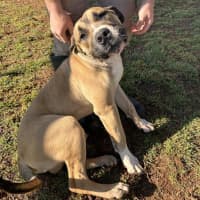 Photo of Archer Tamblyn