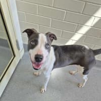 Photo of Zippy! 🪀