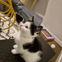 Photo of Roger Meet Me@Petstock Carrum Downs Store 