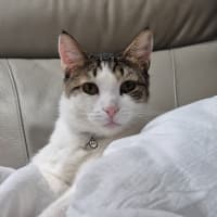 Photo of Leo