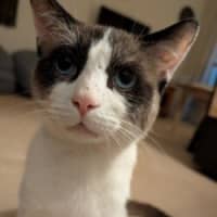 Photo of Yeti