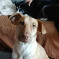 Photo of Missy 