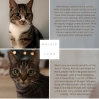 Photo of Maisie And Luna 