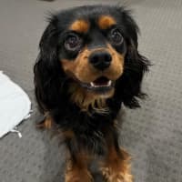 Photo of Walter Quinnell