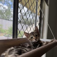 Photo of Tim Tam