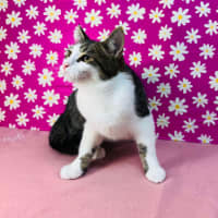 Photo of Jemma   Located In Brunswick East