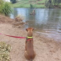 Photo of Rosco