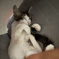 Photo of Ben And Jerry