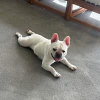 Photo of Roxanne