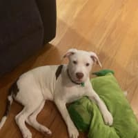 Photo of ❄️ Snowy ❄️