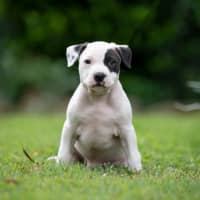 Photo of Rookie