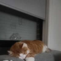 Photo of Jasper