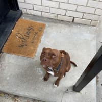 Photo of Randall Bulleau