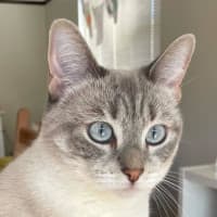 Photo of Luna